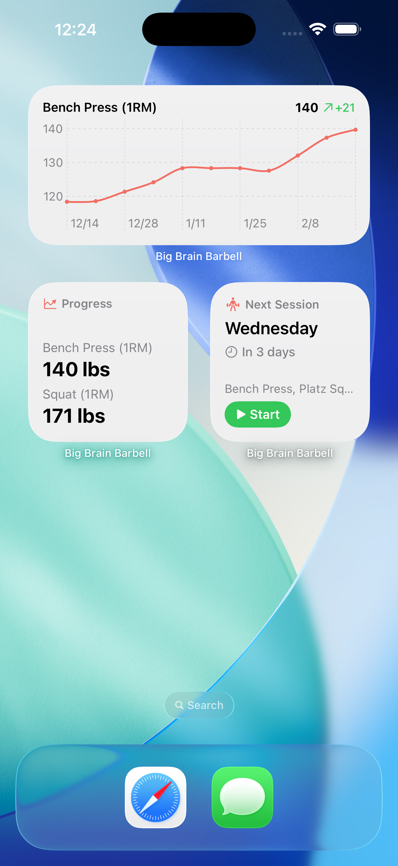 Home screen widget showing next training session